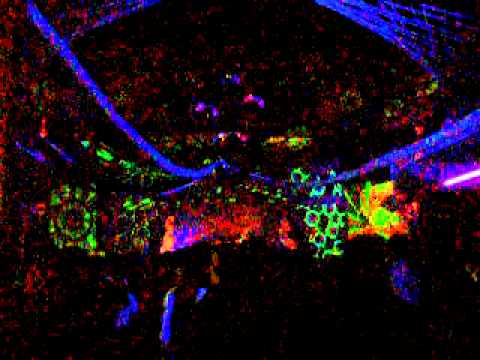 Bafo party....Hard emotions... Dez... 2011 ... Coimbra... decor by Celsius