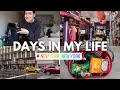 PRODUCTIVE DAYS IN MY LIFE LIVING IN NEW YORK CITY Getting Back On Track Healthy Grocery Haul