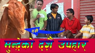 Download lagu मुन्द्रेले दशैंमा खसि उपहार खाेले हेराैं कस्ताे भयाे दशैं Jire Khursani Dashain mp3