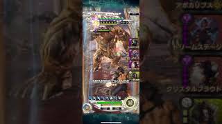 【メビウスFF】オーガchallenge