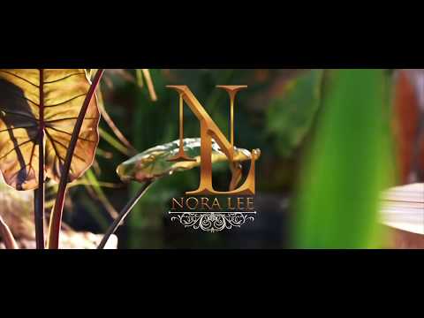 Nora Lee Ochoa - Siempre Hace Frio