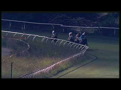 Galoppo 29/08/2020 - 4ª corsa