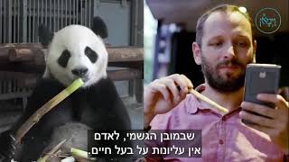 מותר האדם מן הבהמה - 'עין'