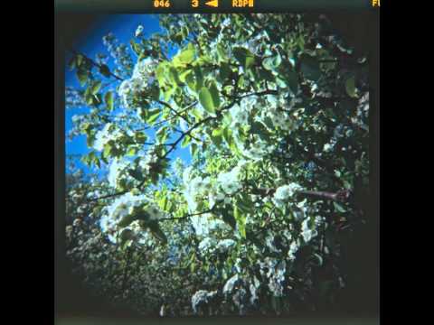 the weekly tune - week 004