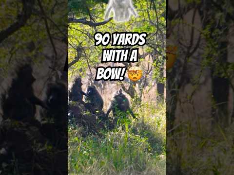 Der beste Bogenschuss aller Zeiten!?😳🤯 #Bogenschießen #PfeilundBogen #präzise #verrückt #wild
