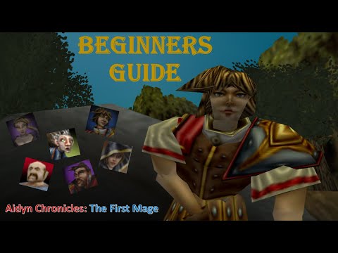 Aidyn Chronicles: Beginners guide