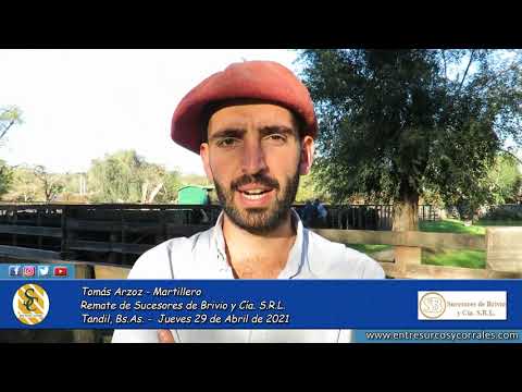 29-04-21 - Tomas Arzoz - Martillero - Remate de Sucesores de Brivio y Cía.  S.R.L.- Tandil, Bs.As.
