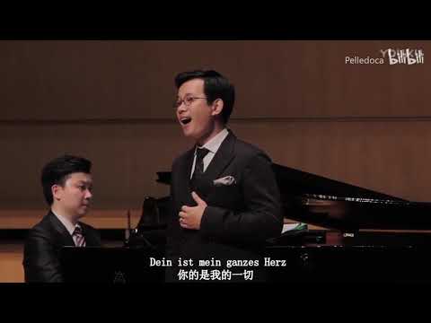 《你是我的一切》《Dein ist mein ganzes Herz》石倚洁 yijie shi