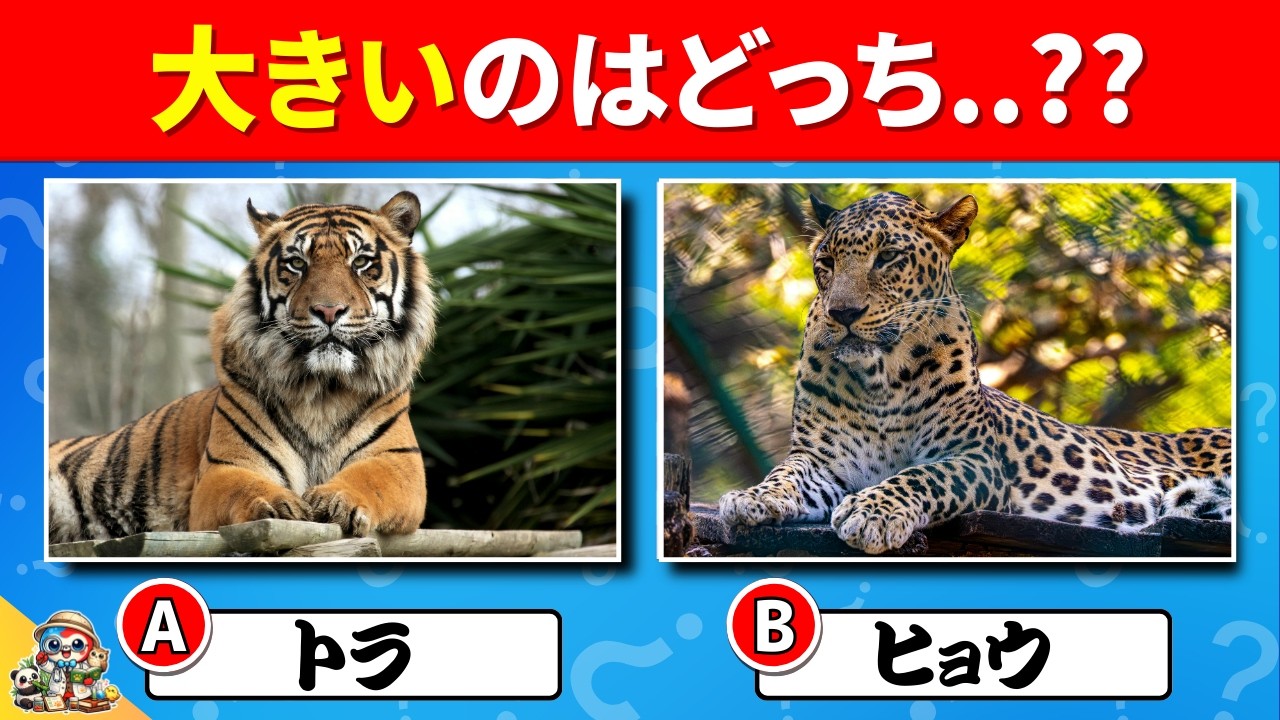 【全35問の動物サイズクイズ】キミは動物サイズ博士になれるかな？