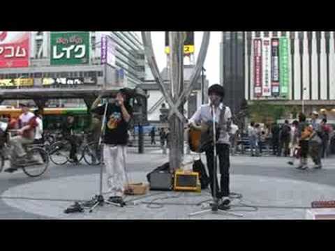 Hare Tokidoki Buta Hikoukigumo Flower Companyz