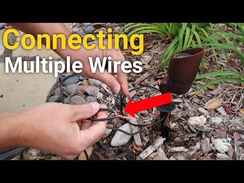 How to connect multiple wires | Landscape Lighting