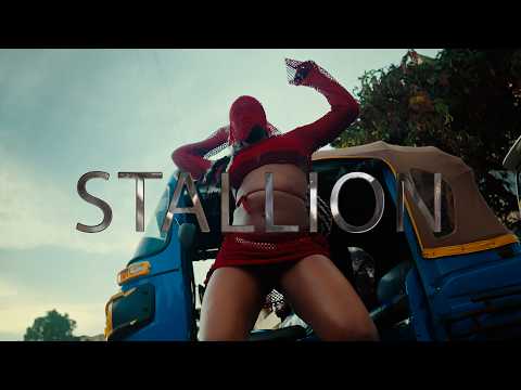 Stallion