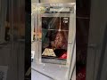 Star Wars A New Hope VHS Worth A FORTUNE