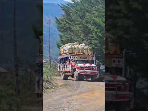la bella #chiva la gaviota viajando hacia el municipio de Urrao Antioquia cargada de café #campo