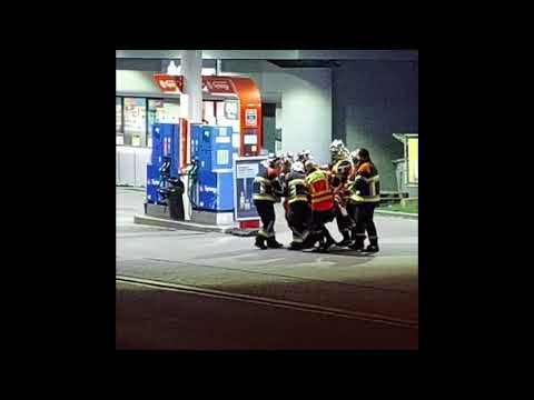 Le daim de Pétange s'est (encore) échappé