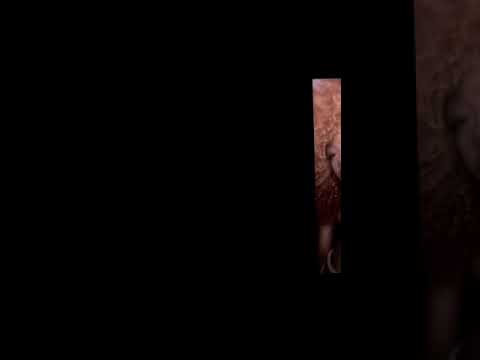 I can’t trust no GNAT✍🏾