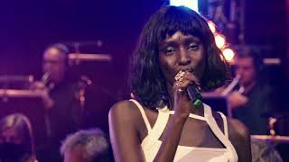 Lous and Yakuza - Amigo - Live