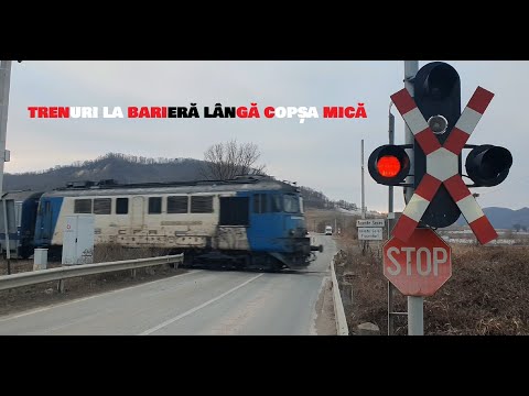 [4K] Trenuri la barieră în apropiere de Copșa Mică