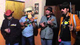 The Paleos Madre Radio Kaos Ukulele cover