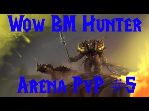 World of Warcraft PvP - 5.3 BM Hunter PvP Arenas #5 BM Hunter / Ret Paladin  2v2