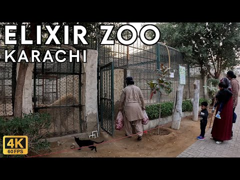 Elixir Zoo Karachi - Walking Tourist 4K