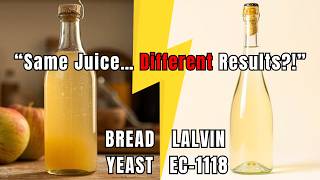 Apple & Elderflower Wine: Bread Yeast vs EC1118 Test