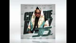 Chubbie Baby (feat. Gucci Mane & Young Scooter) - "Hood Like A Zoo"