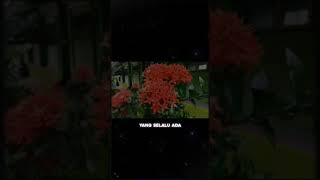 Download lagu story wa 30 detik viral tiktok|| Engkau penyemangat hidupku mp3 Download lagu story wa 30 detik viral tiktok|| Engkau penyemangat hidupku mp3