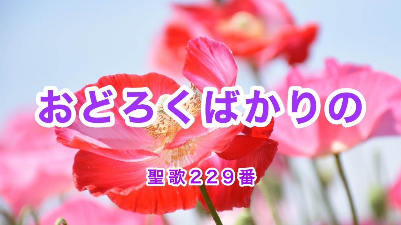 おどろくばかりの｜アメイジング・グレイスのメロディ｜聖歌229番｜歌詞付き｜Romanized  Lyrics