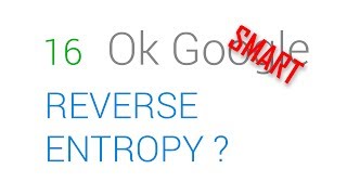 16 OK Google - How Can Entropy Be Reversed?