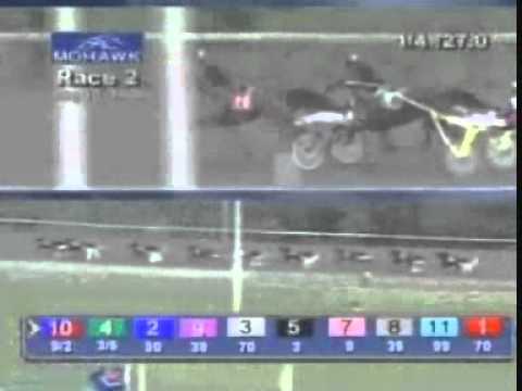 Breeders Crown Open Trot 2008 -Corleone Kosmos