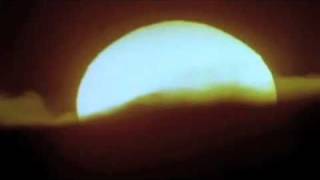 A ZED AND TWO LS /// BY FILA BRAZILLIA