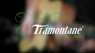 Video thumbnail for Guitare Lâg Tramontane T270DCE avec préampli Fishman (vidéo de La Boite Noire) by La Boite Noire du Musicien