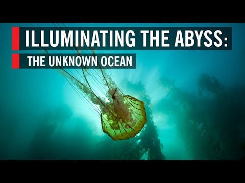 Illuminating the Abyss: The Unknown Ocean
