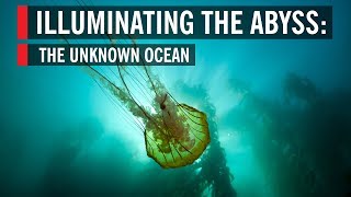 Illuminating the Abyss: The Unknown Ocean