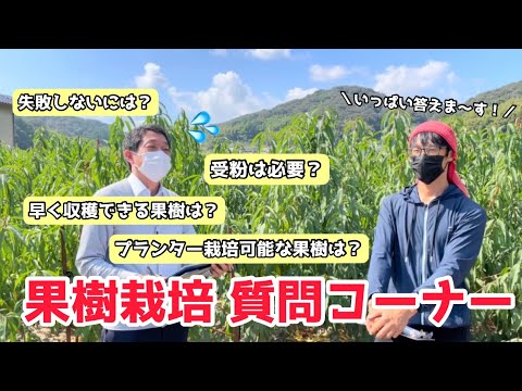 園芸 果樹について詳しく知る