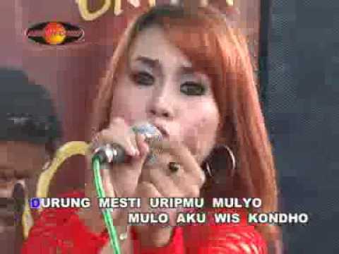 Eny Sagita - Ngamen 2 | Dangdut (Official Music Video)