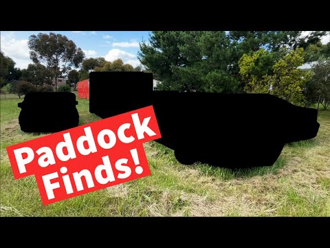 I Bought 4 Cars Left In A Paddock