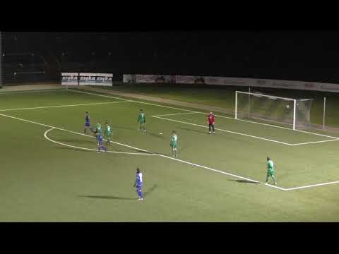 Testspiel SC Westfalia Herne - SG Suderwich I 15.01.19