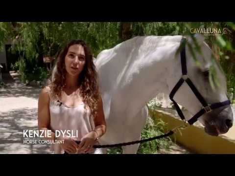 , title : 'Lusitano Pferde - Kenzie Dysli erklärt | Pferdewissen - Pferderasse | CAVALLUNA - Passion for horses'