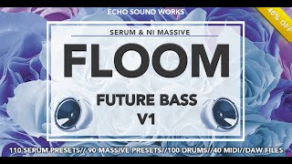 Echo Sound Works Floom V 1 Demo