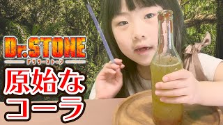 原始な素材でコーラっぽい飲み物作ってみた【Dr.STONE】極秘のコーラレシピを再現｜日曜家族-1064 (*´ω`*)