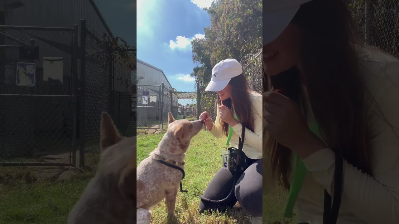 Vance video