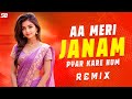 Aa Meri Janam Pyar Kare Hum Dj Remix Hindi EDM Dj EDM Dance Dj Hindi Dj Gan Dj Sanju SB