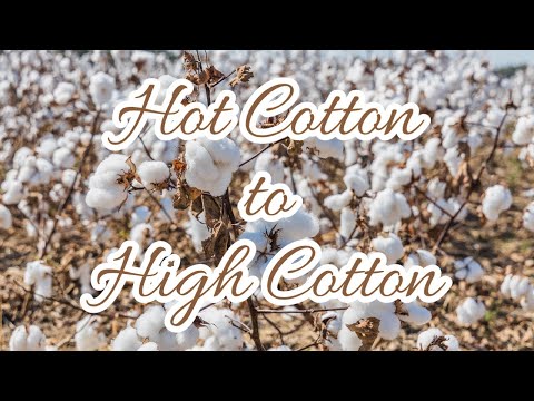 Hot Cotton to High Cotton