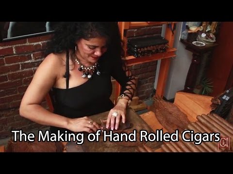 download lagu mp3 mp4 Best Cigars In Tampa, download lagu Best Cigars In Tampa gratis, unduh video klip Best Cigars In Tampa