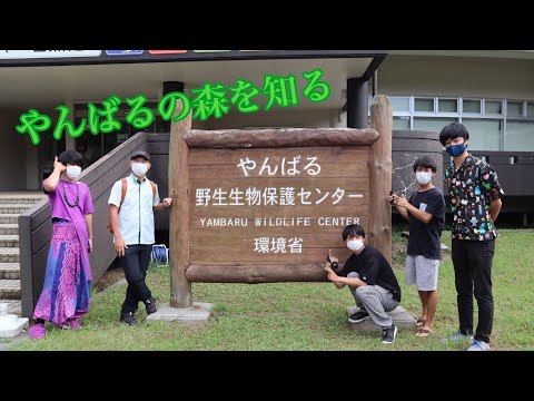 【沖大祭2021】沖大フィールドワーク　やんばるの森を知る