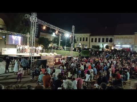 Siniša Tufegdžić Srem Folk Fest