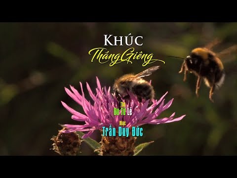 Khúc tháng giêng Sheet - Quang Thắng