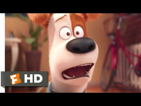 The Secret Life of Pets - to be going to/gonna